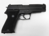 [タナカ] SIG SAUER P220 コマーシャル HW エボリューション (中古)