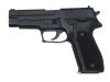 [タナカ] SIG SAUER P226 パラ・カートモデル (未発火)