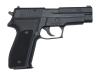 [タナカ] SIG SAUER P226 パラ・カートモデル (未発火)