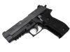 [タナカ] P226 Mk25 EVO2 オールHW 発火モデルガン (新品)